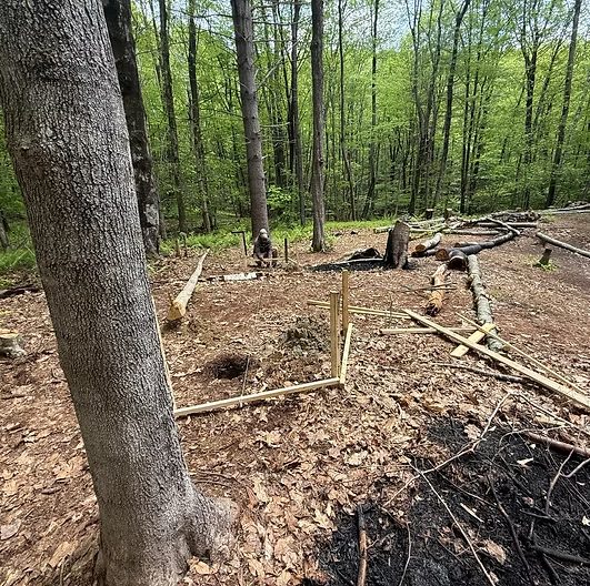 Logs from fallen trees laid out to build a forest clearing