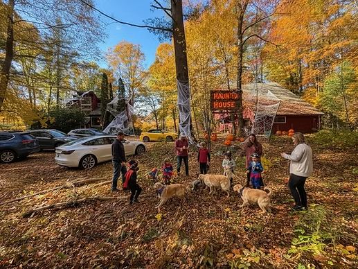 Friends and dogs gathered outside in peak fall foliage