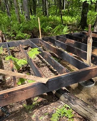 Charred-wood raised frames among ferns